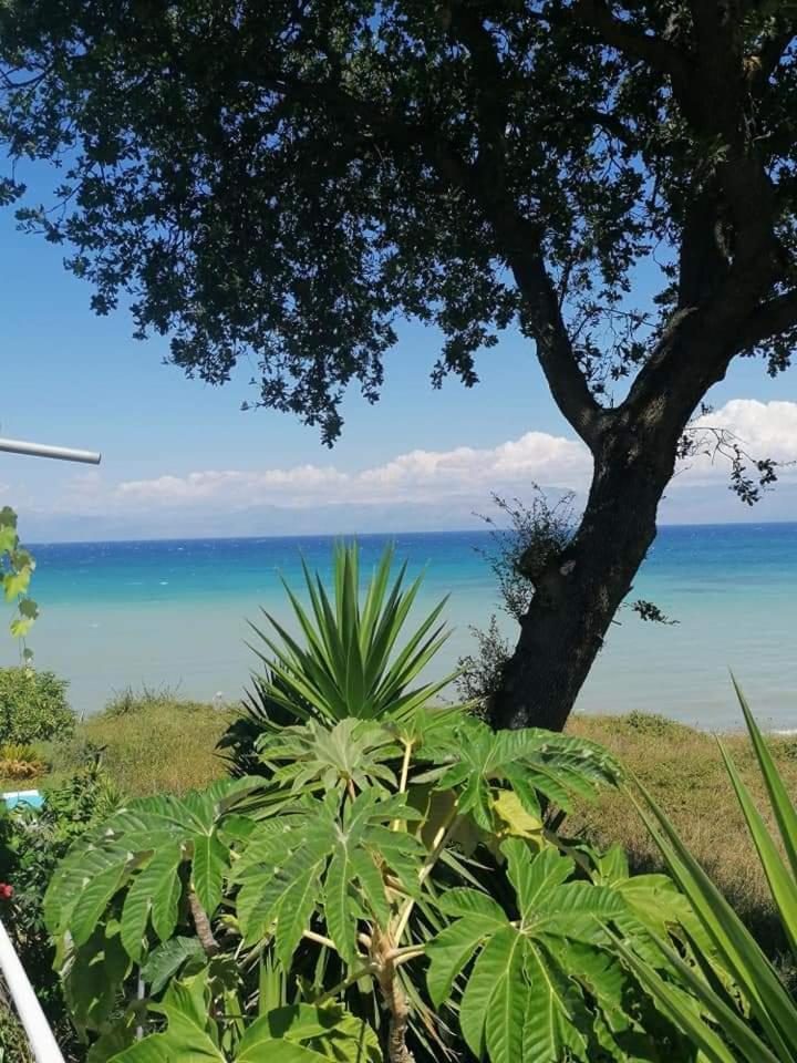 Apartmán Astrakeroula Corfu *